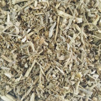 Assenzio erbe essiccate