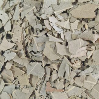 Eucalipto erbe essiccate