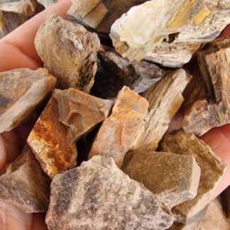 50 Gr di Legno Fossile Grezzo Sicilizzato