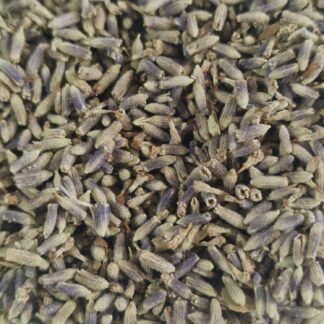 Fiori Lavanda erbe essiccate