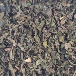 Ortica erbe essiccate