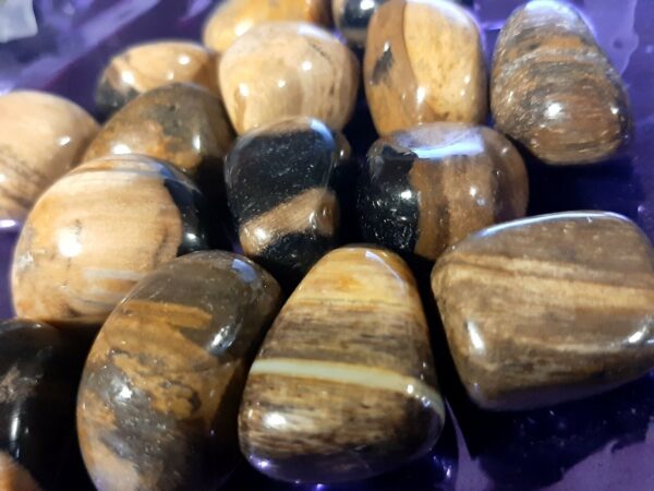 Legno Fossile Burattato Lucidato Grande
