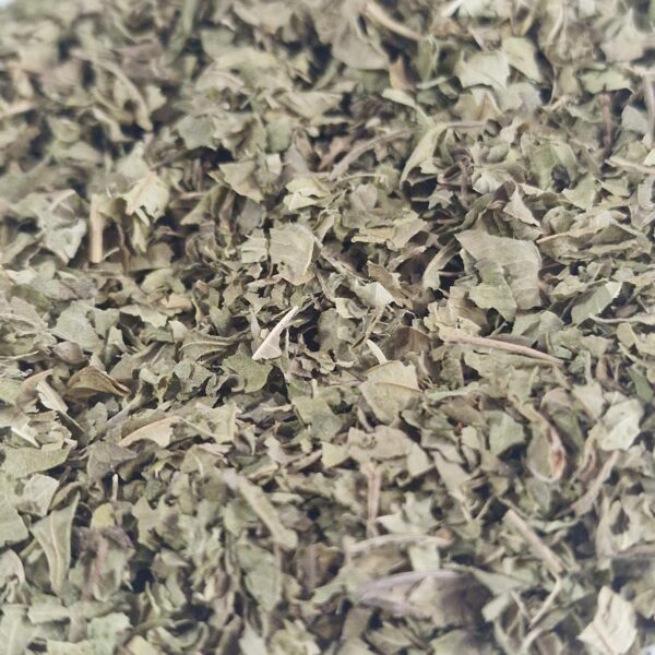 Verbena erbe essiccate