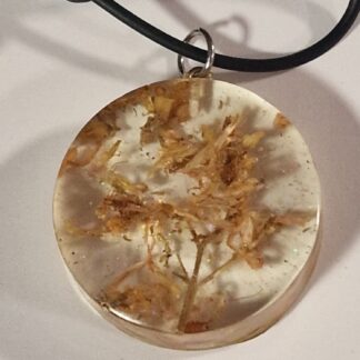 Ciondolo con Iperico C