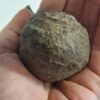 MOQUI BALLS Rare Misura JUMBO - immagine 2