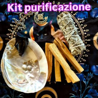 Set di Purificazione con Abalone, Palo Santo, Salvia, Ossidiana e Simboli di Protezione