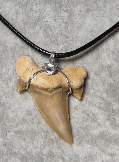 Collana con Vero Dente di Squalo – Amuleto di Forza e Protezione - immagine 2