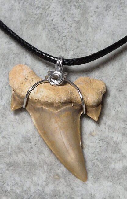 Collana con Vero Dente di Squalo – Amuleto di Forza e Protezione